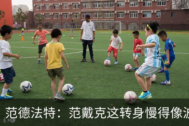 范德法特：范戴克这转身慢得像波音747，这可不是什么好事